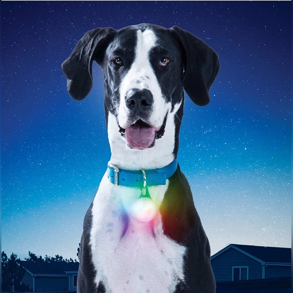 NEW BUNDLE OF 3 Seal LED Clip On Safety Light for Pets, White